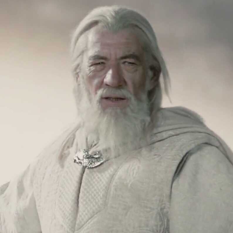 Gandalf the White Chad Test chadtest.com